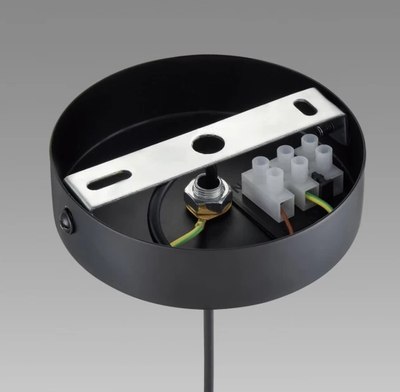 Потолочный светильник Lumion Isha 8101/1A