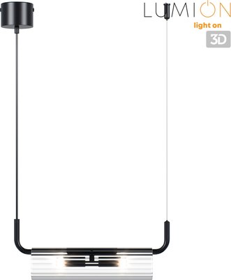 Потолочный светильник Lumion Toronto 6561/2