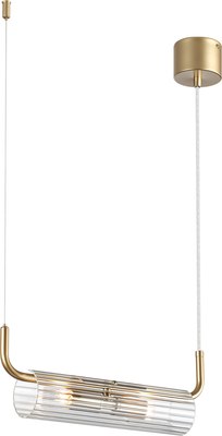 Потолочный светильник Lumion Toronto 6560/2