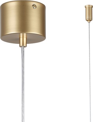 Потолочный светильник Lumion Toronto 6560/2