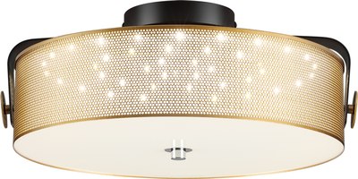 Потолочный светильник Lumion Drumy 6597/40L