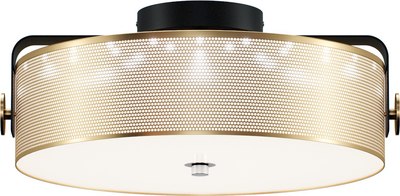 Потолочный светильник Lumion Drumy 6597/40L