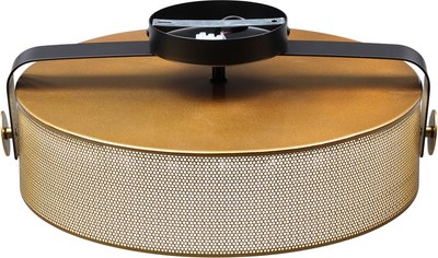 Потолочный светильник Lumion Drumy 6597/40L