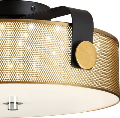 Потолочный светильник Lumion Drumy 6597/40L