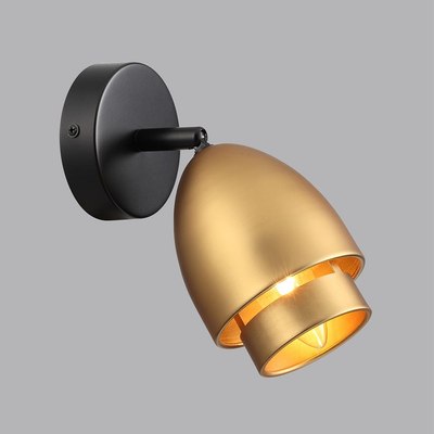 Светильник Lumion Avrora 8001/1W