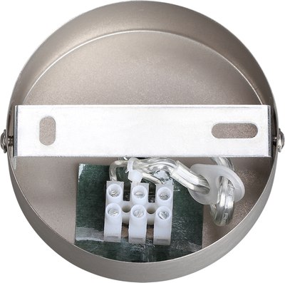 Потолочный светильник Lumion Avrora 8000/1A