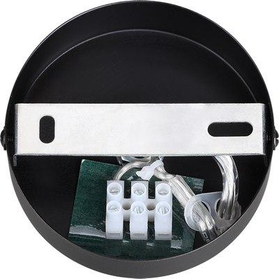 Потолочный светильник Lumion Avrora 8001/1A