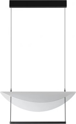 Потолочный светильник Odeon Light Glider 7015/20L