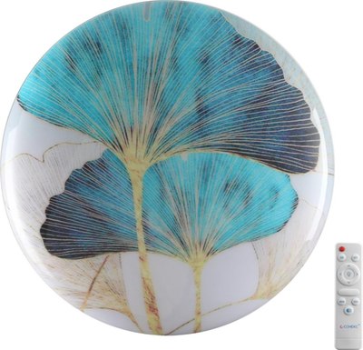 Потолочный светильник Sonex Floren 7747/DL - фото