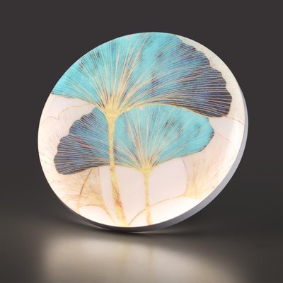 Потолочный светильник Sonex Floren 7747/DL