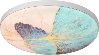 Потолочный светильник Sonex Floren 7747/DL