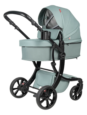 Детская универсальная коляска Aimile Pro 2 в 1 / A5-5 - фото