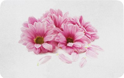 Коврик грязезащитный MATEX Paints / 20-301 - фото