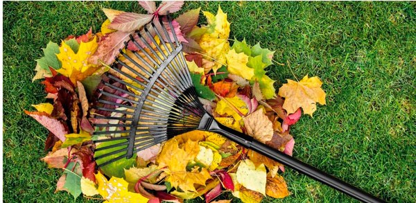 Грабли Вихрь 73/7/1/11