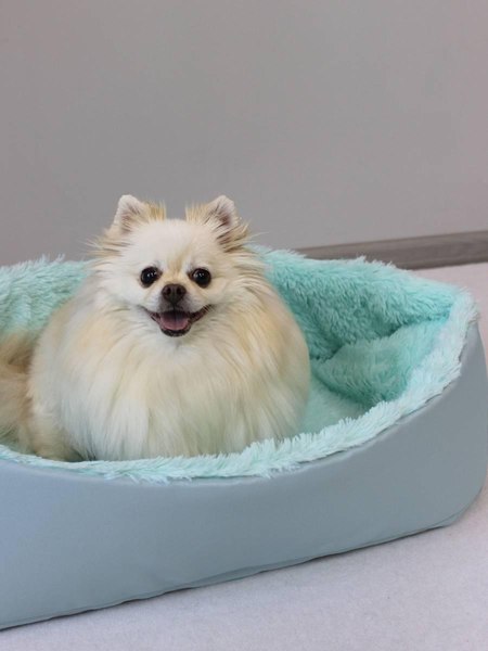 Подстилка для животных MATEX Pet Plush / 55-761