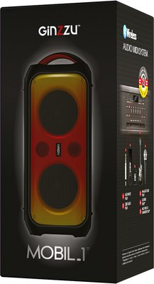 Портативная акустика Ginzzu GM-111