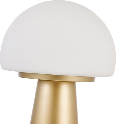 Декоративное освещение FAVOURITE 4450-1T