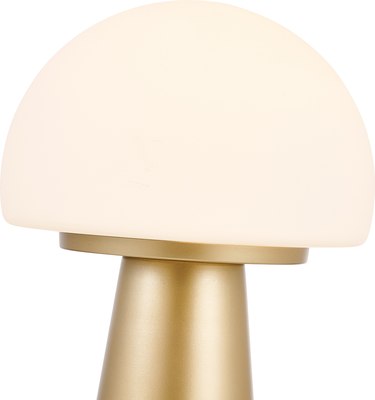 Декоративное освещение FAVOURITE 4450-1T