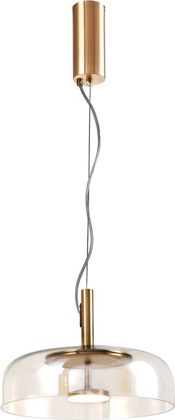 Потолочный светильник FAVOURITE 4258-1P - фото