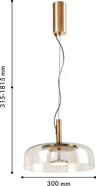 Потолочный светильник FAVOURITE 4258-1P