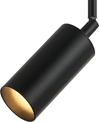 Потолочный светильник Kinklight Рия 07621-1.19