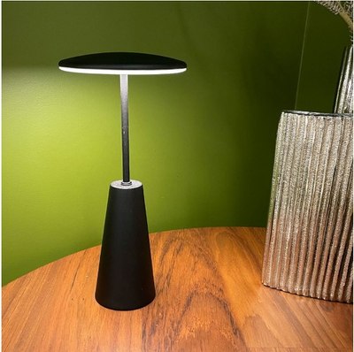 Светильник уличный Eglo Piccola 900925