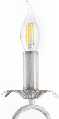 Потолочный светильник BayerLux Айрис 7794168