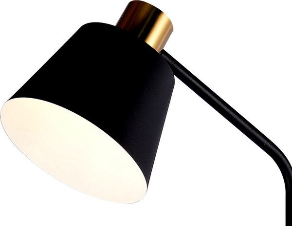 Торшер Kinklight Арни 07043A.19