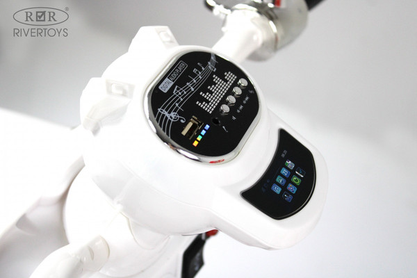 Детский мотоцикл RiverToys Z444ZZ