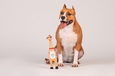 Игрушка для собак Happy Earm Свинка 80800004