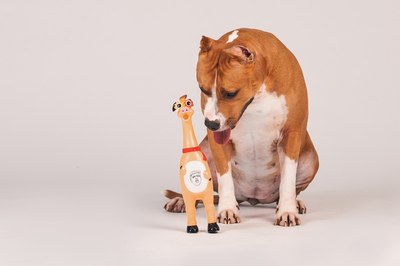 Игрушка для собак Happy Earm Свинка 80800004