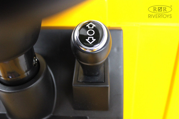 Детский автомобиль RiverToys G001GG