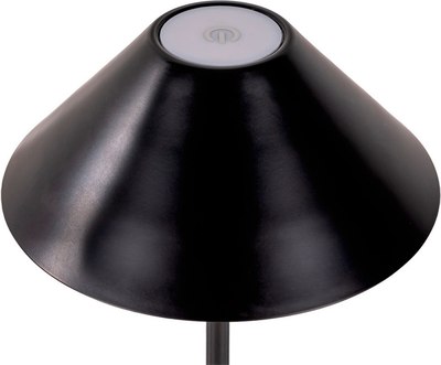 Прикроватная лампа Kinklight Паола 07210-T.19 - фото