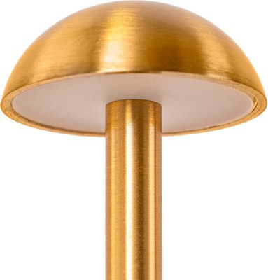 Прикроватная лампа Kinklight Дамари 07208-T.20 (бронза) - фото