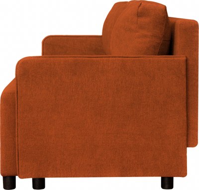 Диван Домовой Юни 3