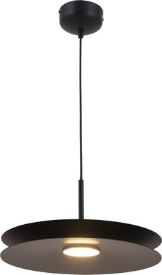 Потолочный светильник Moderli Montana / V11111-PL - фото