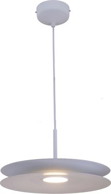 Потолочный светильник Moderli Montana / V11112-PL - фото