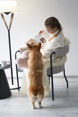 Кресло мягкое Sheffilton SHT-AMS120