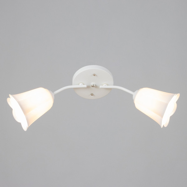 Потолочный светильник BayerLux Онлайн Цветок 9095859 - фото