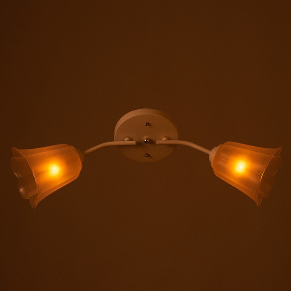 Потолочный светильник BayerLux Онлайн Цветок 9095860