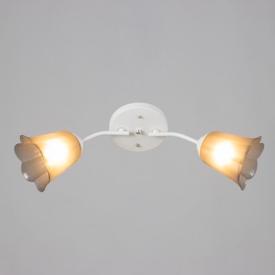 Потолочный светильник BayerLux Онлайн Цветок 9095861