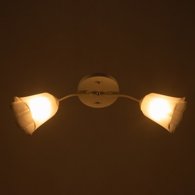 Потолочный светильник BayerLux Онлайн Цветок 9095861