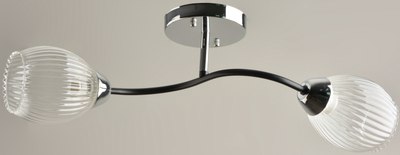 Потолочный светильник Mirastyle BL-7625/2 CR+BK