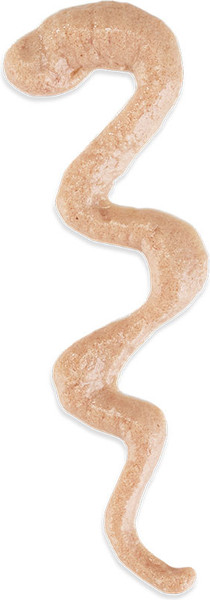 Лакомство для кошек Schesir Stix с тунцом