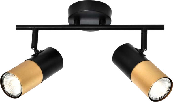 Спот Zhong Lighting Limited WND23200/2 - фото