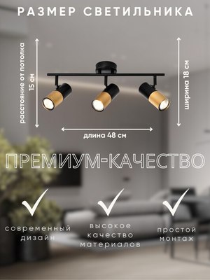 Спот Zhong Lighting Limited WND23200/3