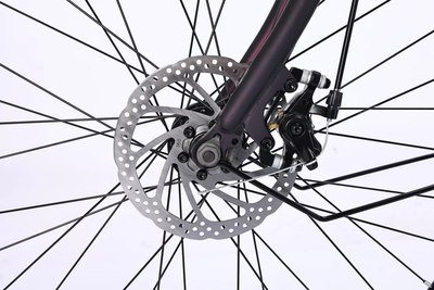 Электровелосипед MyWay Road 1.0 250