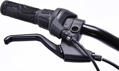 Велосипед Arena Flash 24 2025