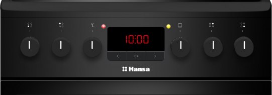 Плита электрическая Hansa FCCM58209H