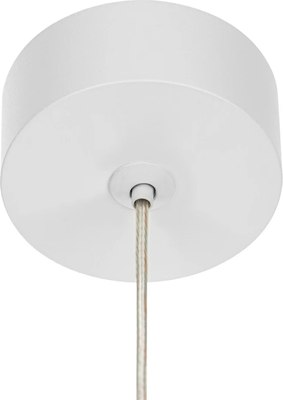 Потолочный светильник Citilux Bruno CL565010